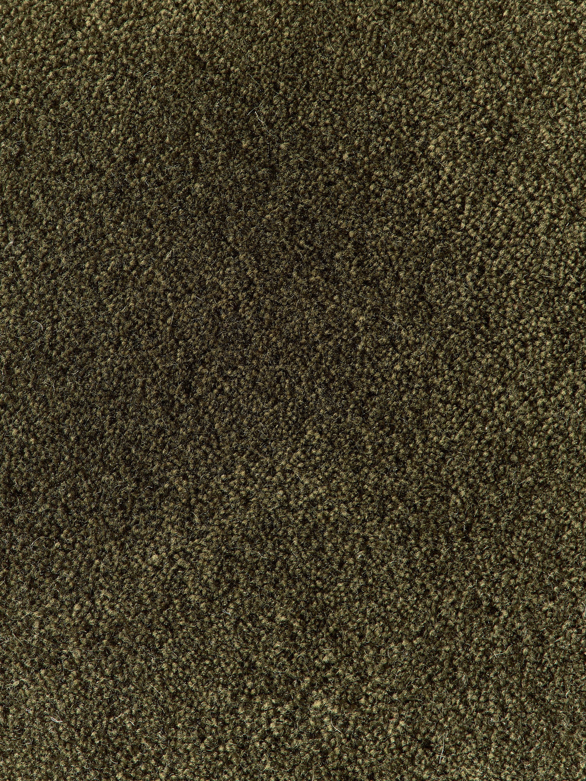 Zayne Hand-Tufted Wool Rug
