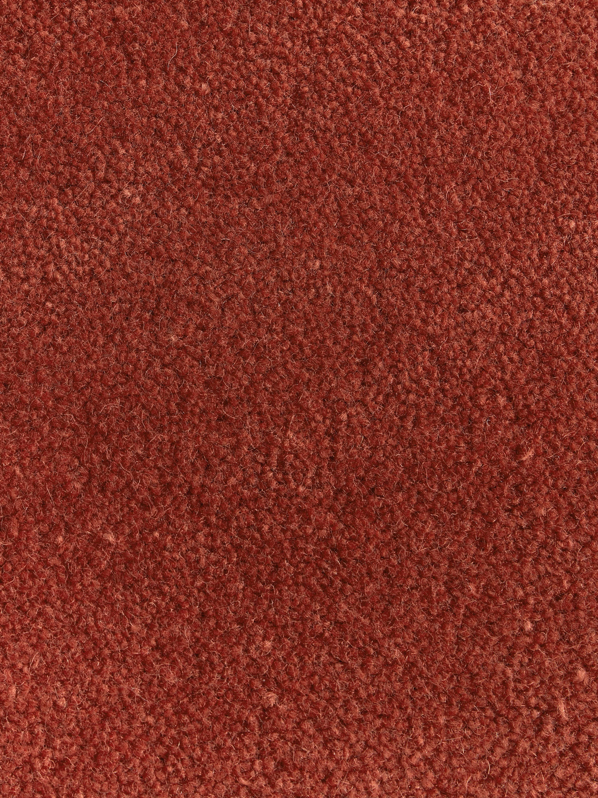 Kadey Organic-Shaped Hand-Tufted Wool Rug