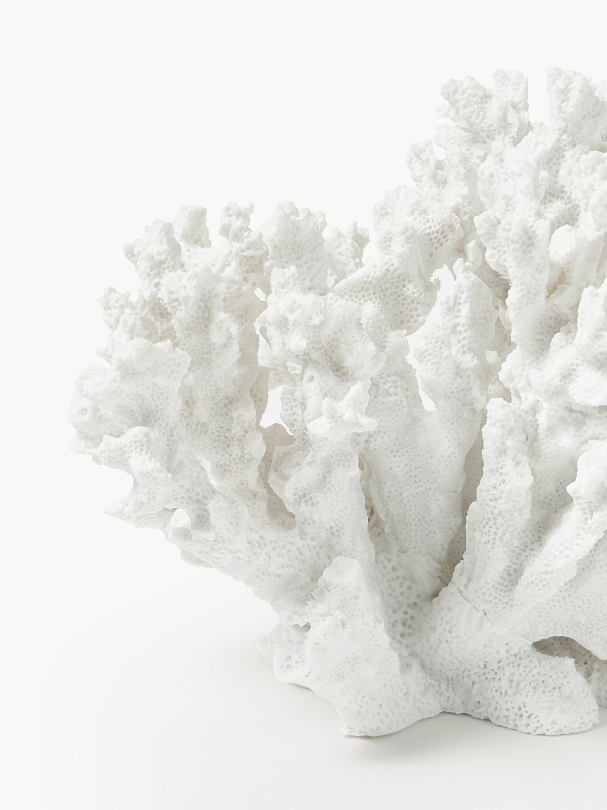 Coral Design Decorative Object
