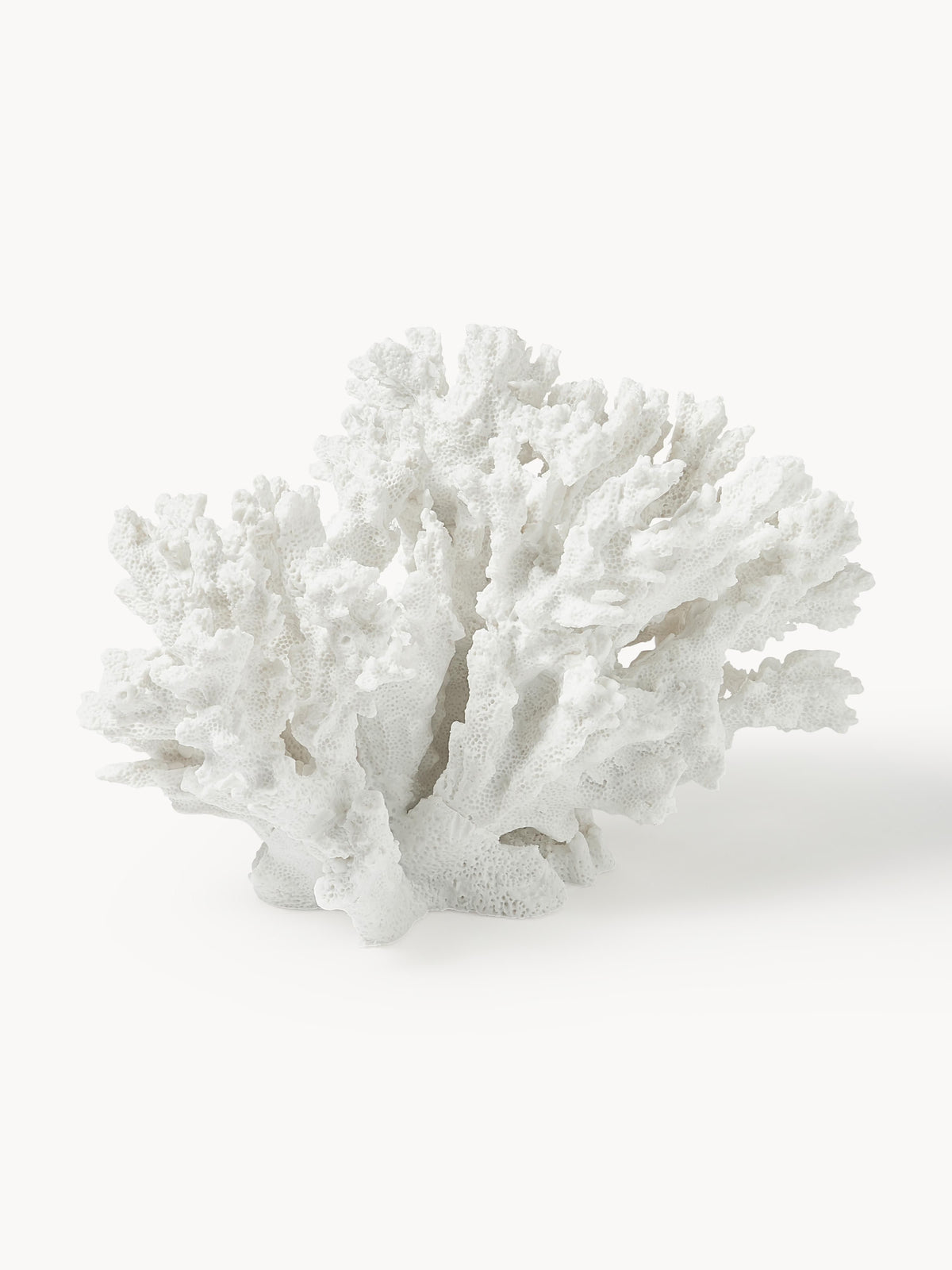 Coral Design Decorative Object