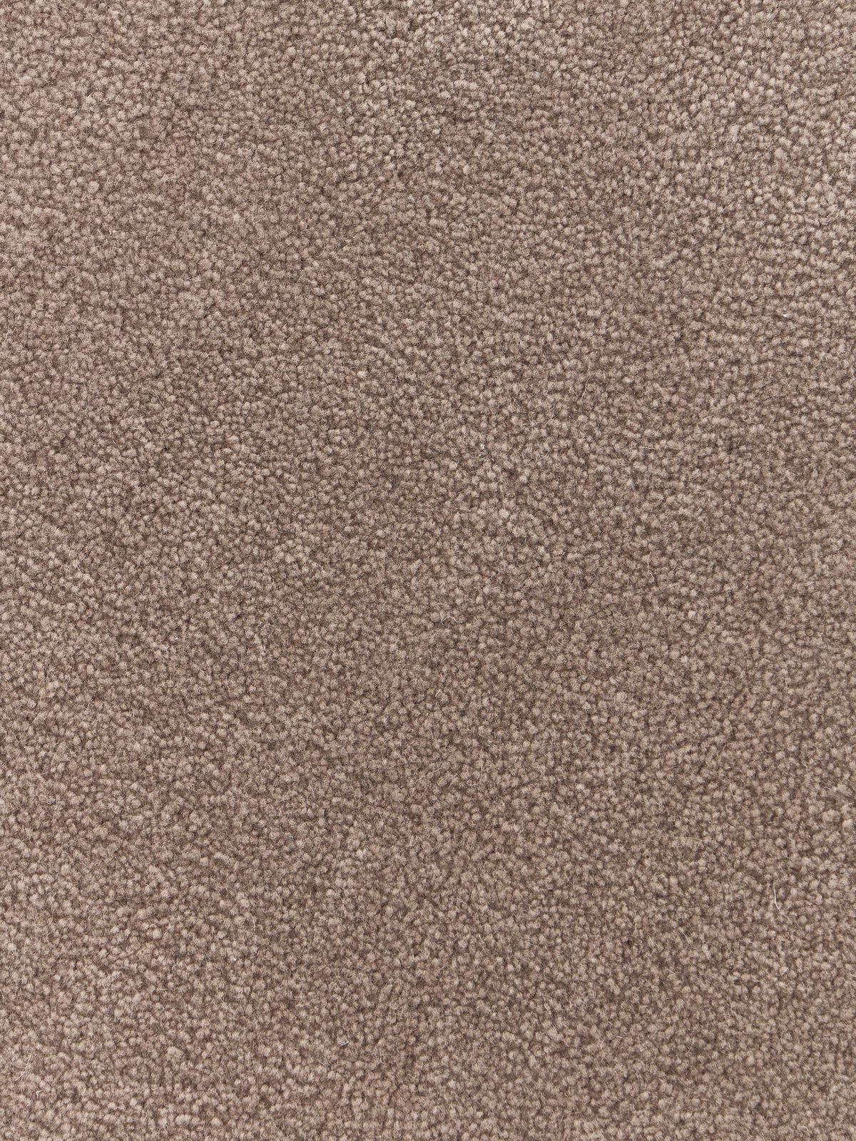 Kadey Organic-Shaped Hand-Tufted Wool Rug