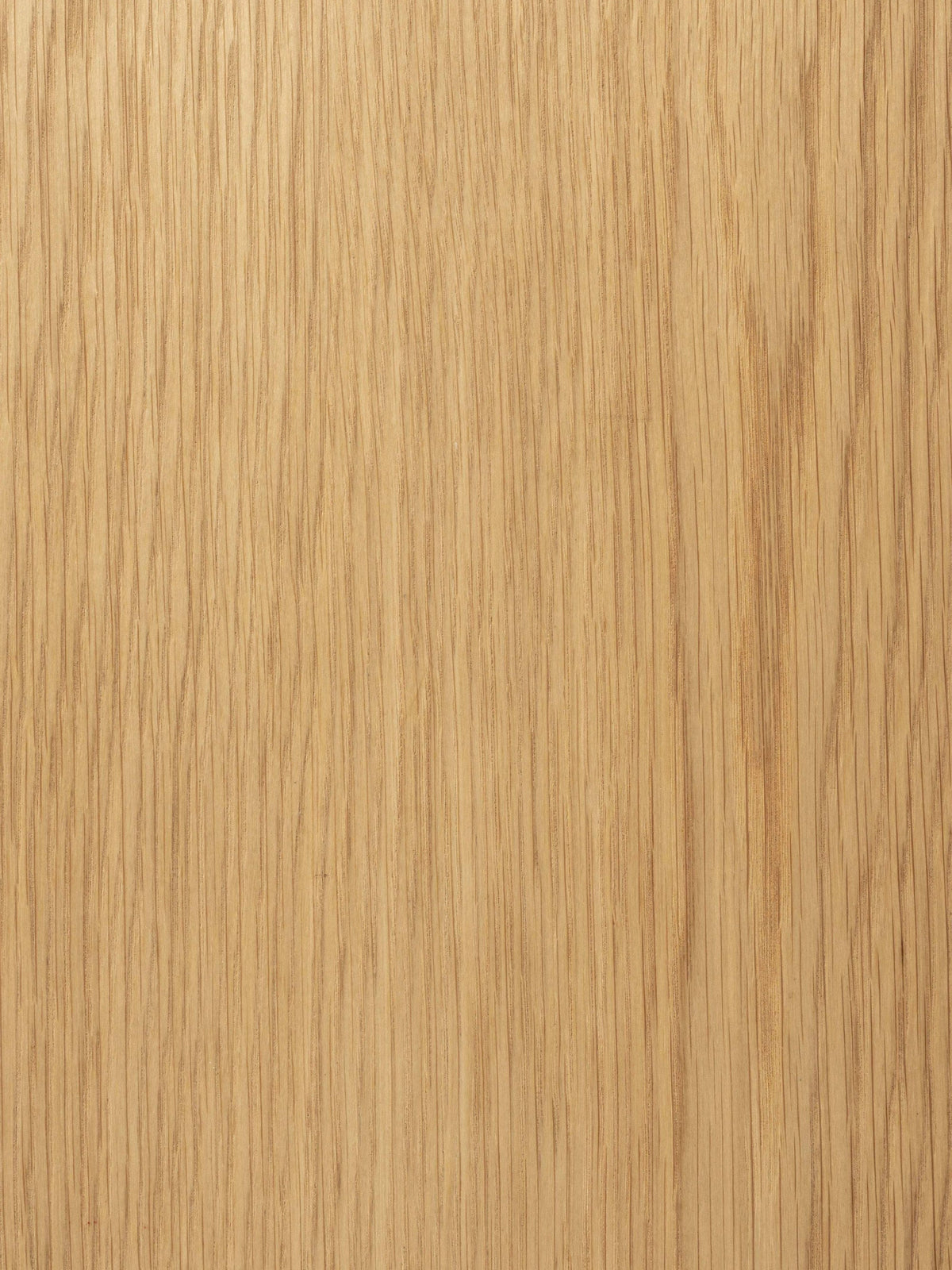 Brave Wooden Bench