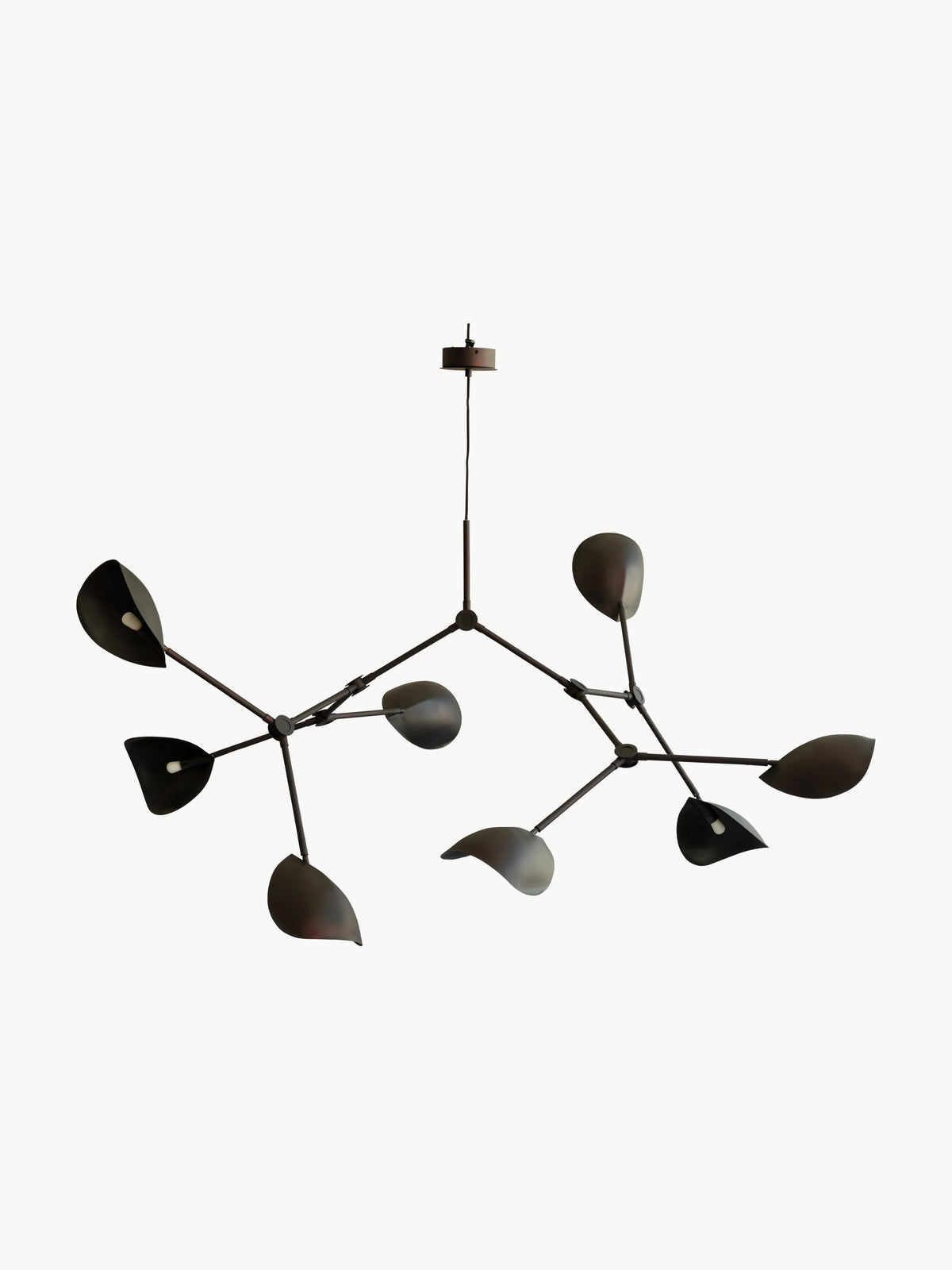 Stingray Large Chandelier, in various sizes