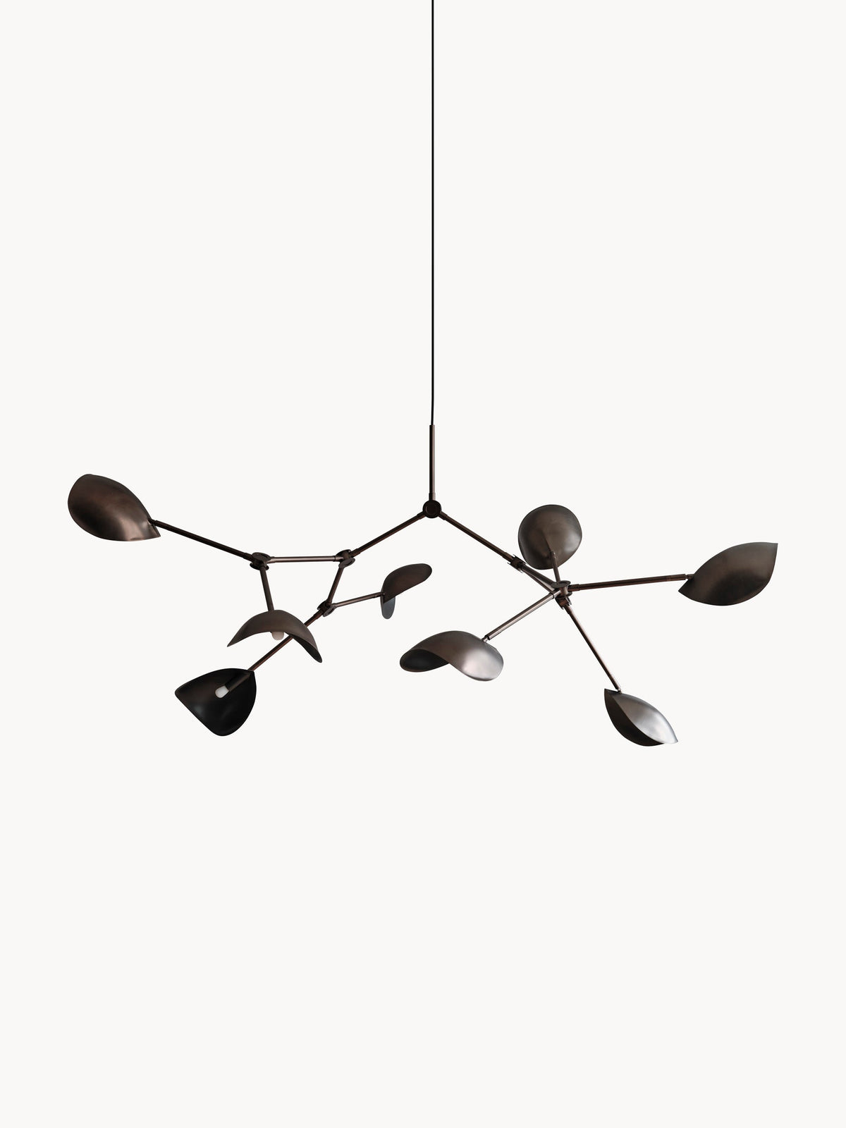 Gallery image 1 - Large Chandelier Stingray, in various sizes